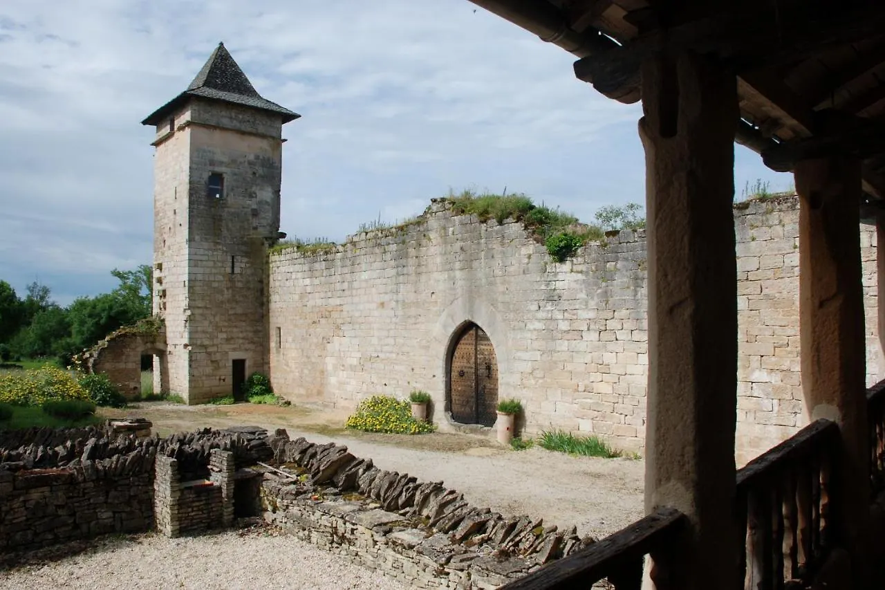 Le Chateau De Pervinquieres Ginals