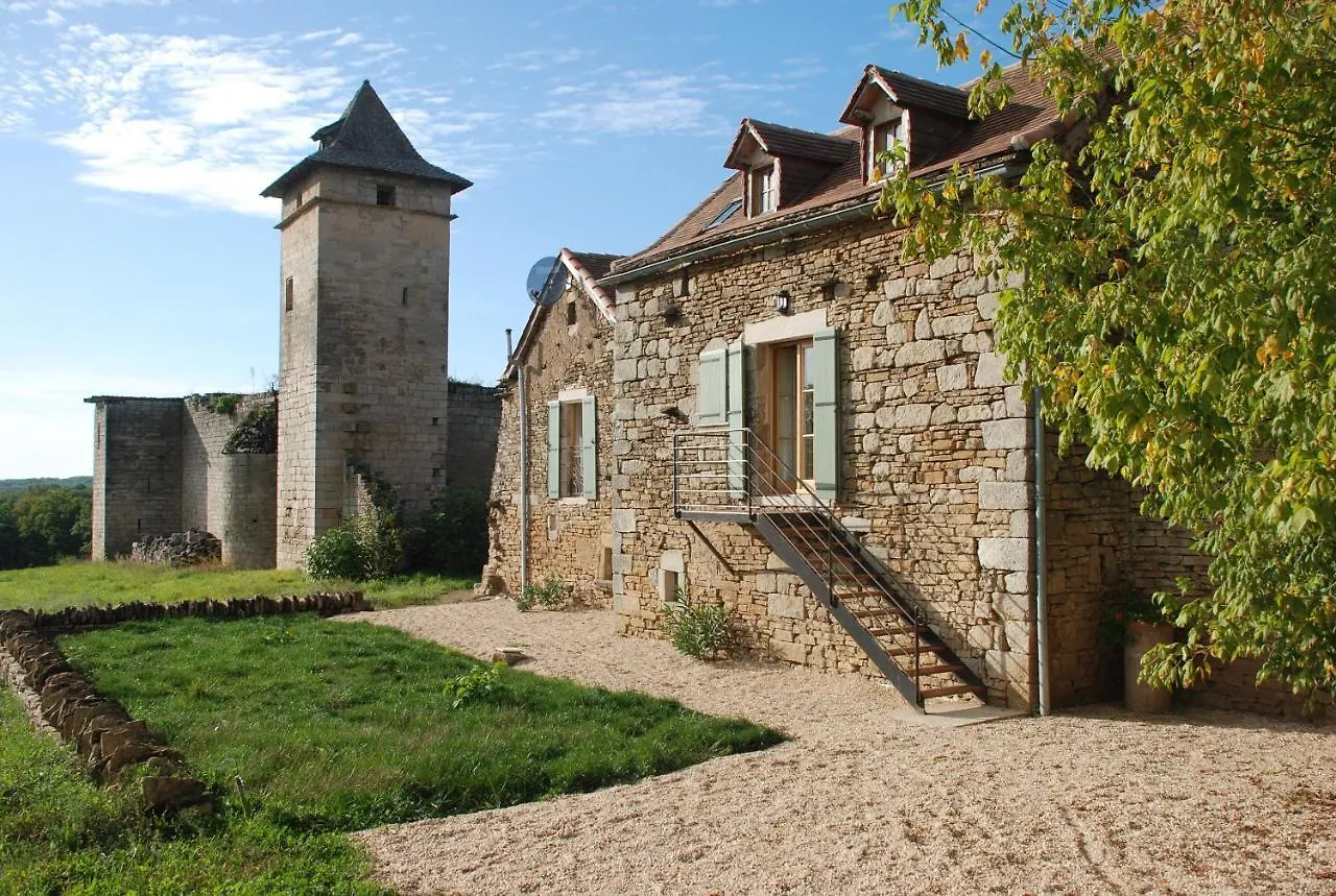 Tatil Evi Le Chateau De Pervinquieres Ginals Fransa