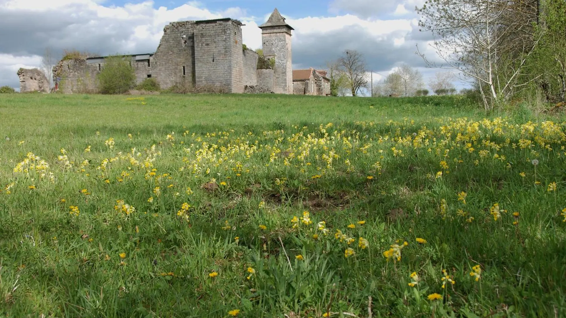 Le Chateau De Pervinquieres Ginals Fransa